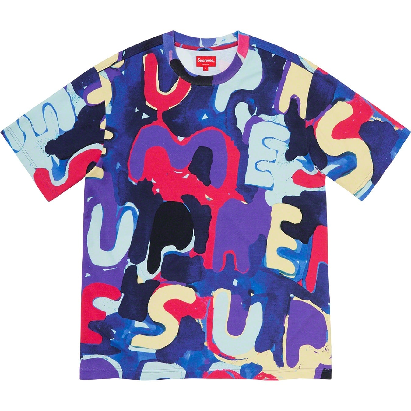 Painted Logo S/S Top view 5
